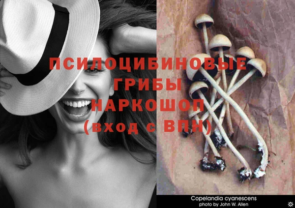 MDMA Осташков