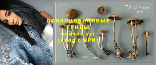 крисы Яранск