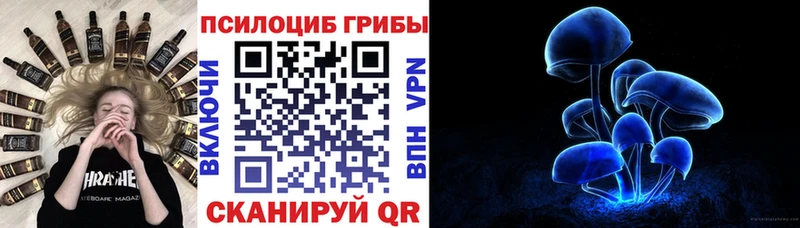 магазин продажи   Нахабино  hydra онион  Галлюциногенные грибы Cubensis 